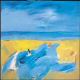 Shark on Georgica (1993)