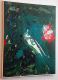 Black scretch 3